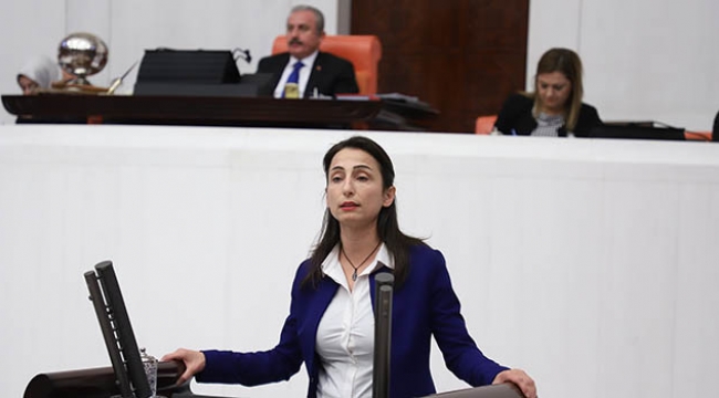 Çiftçilerin durumu TBMM’de