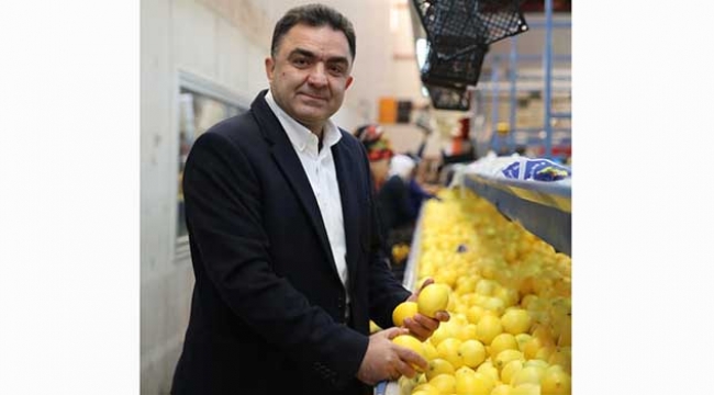 Narenciyede yüzde 70 rekolte düşüklüğü bekleniyor