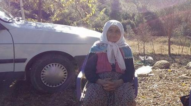 Yaşlı kadın ağaçtan düşüp hayatını kaybetti