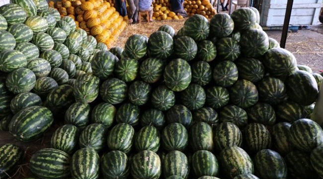 Karpuz 20 kuruşa düştü