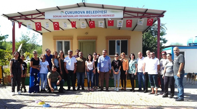 Sokak hayvanları için seferberlik