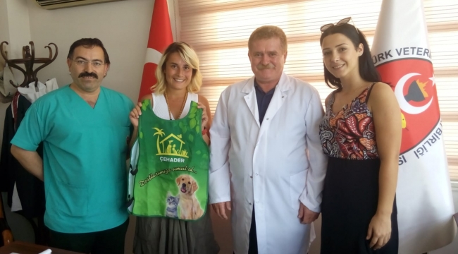 'Sokak hayvanlarının kısırlaştırılması büyük önem taşıyor'
