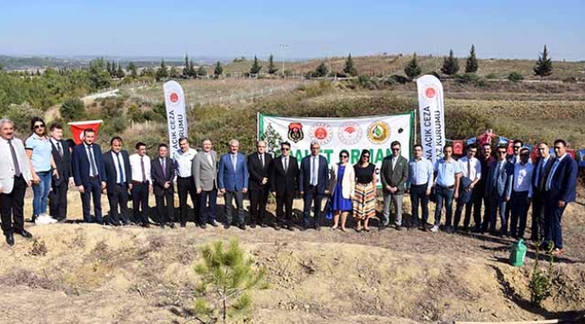 Adalet Ormanı’na anneler için 571 fidan