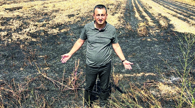 Bulut. Yaz kış zehir soluyoruz