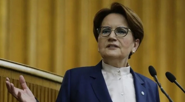 Meral Akşener'den çözüm önerisi