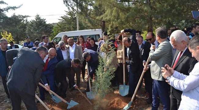 Adana'da 205 bin fidan toprakla buluştu