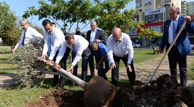 Barış Parkı'nda ağaç diktiler