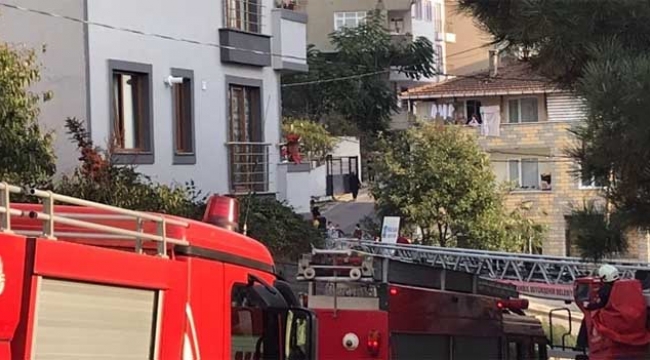 Çocukların oyunu anneyi canından ediyordu