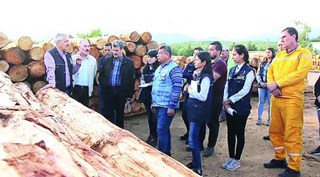Karaisalı ormancılık çalışmalarında iddialı