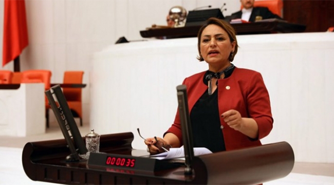 Şevkin batık kredileri sordu