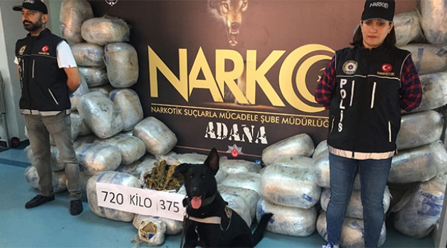 Adana'da 721 kilo esrar ele geçirildi