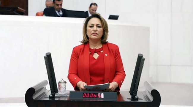 'Temsa’yı satın alan fonun arkasında kimler vardır?'