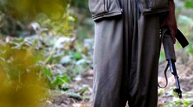 2 PKK'lı terörist etkisiz hale getirildi