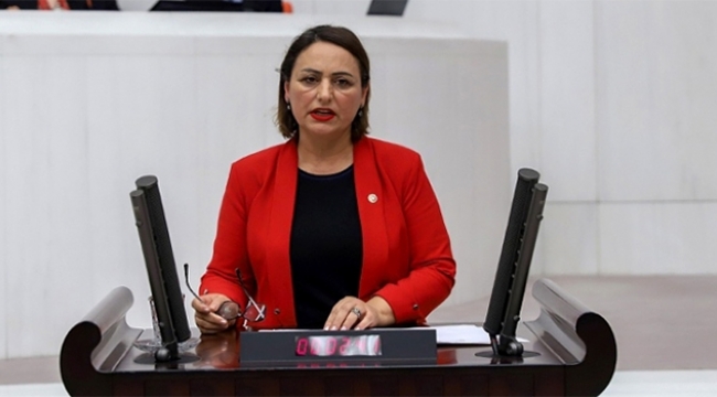 Bir annenin dramı Meclis'te
