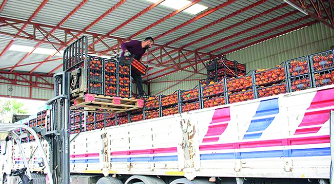 Narenciye üreticileri Elazığ için kenetlendi