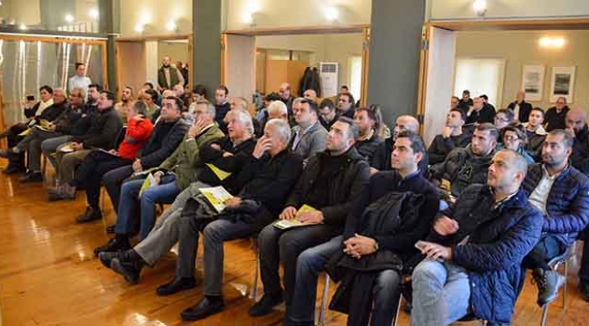 Limonda yüksek verimli çeşit