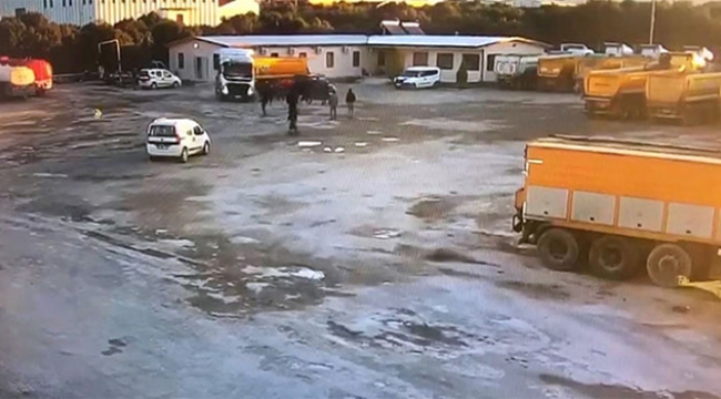 Mesai arkadaşının üzerine tır sürdü