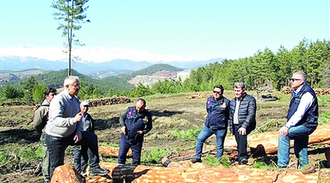 Pos, kaliteli orman emvali üretiminde çıtayı yükseltti