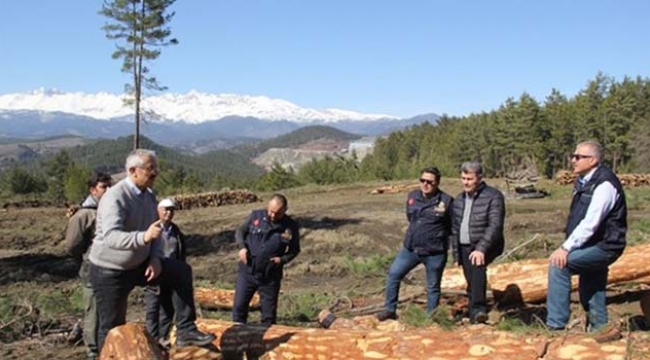 Pos, kaliteli orman emvali üretiminde çıtayı yükseltti