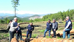Pos, kaliteli orman emvali üretiminde çıtayı yükseltti