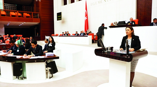 Şevkin: ÇDSO’nun kadro ve salon sorunu çözülmeli