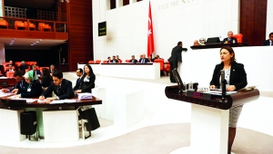 Şevkin: ÇDSO’nun kadro ve salon sorunu çözülmeli