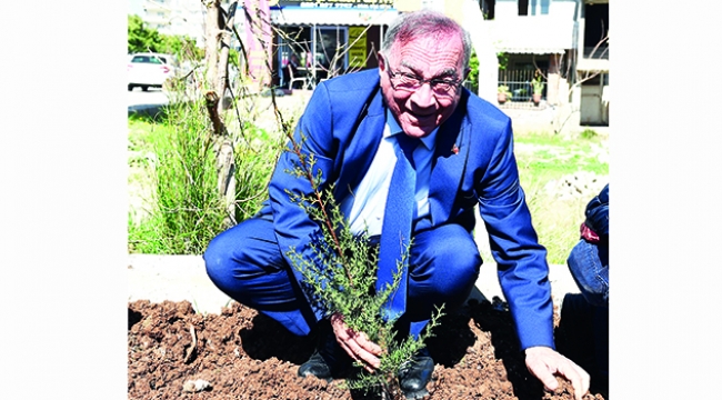Başkan Akay ve kadınlar fidan dikti