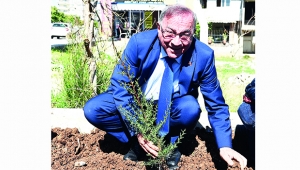 Başkan Akay ve kadınlar fidan dikti