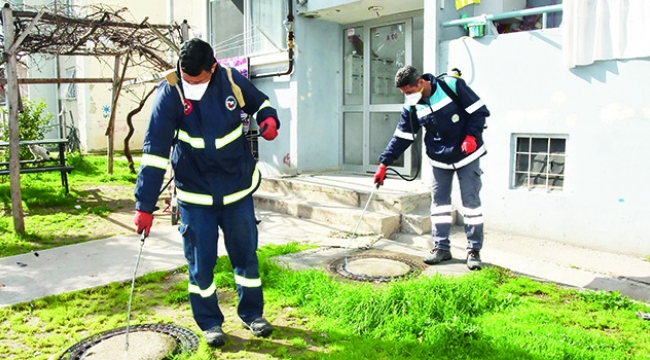Ceyhan’da larva mücadelesi başladı