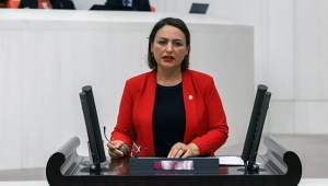 CHP’li Şevkin’den ‘hastane’ çağrısı