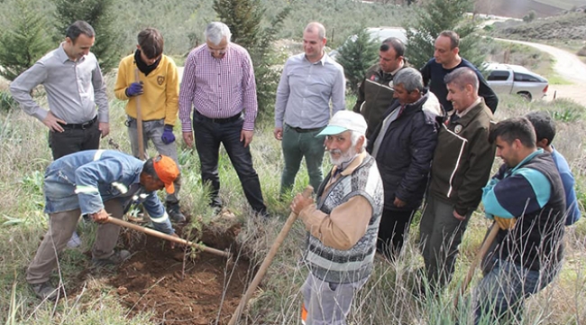 'Fidan dikim tekniği önemli'