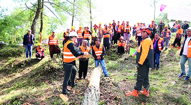 Ormanda iş kazalarının önlenmesi için yapılan tatbikat amacına ulaştı