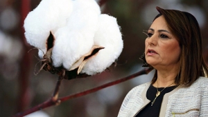 “Pamuk üreticisi kaderine terk edildi!”