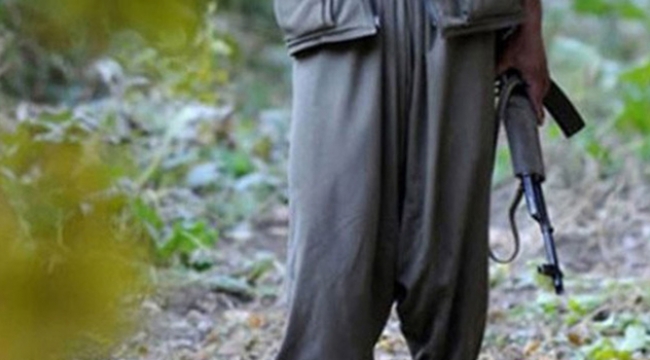 3 PKK'lı terörist etkisiz hale getirildi