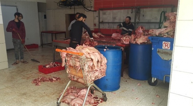 Adana'da 1,5 ton sakatat ele geçirildi