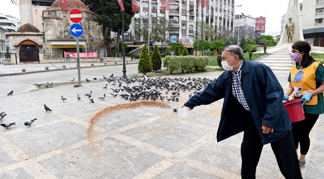 Başkan Akay güvercinlere yem verdi