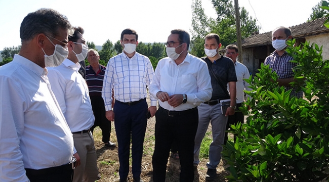 'Mağdur üreticilerin yaralarını saracağız'