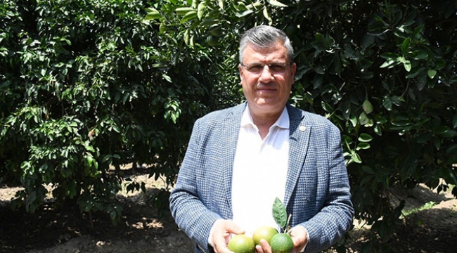 Narenciye için seferberlik çağrısı
