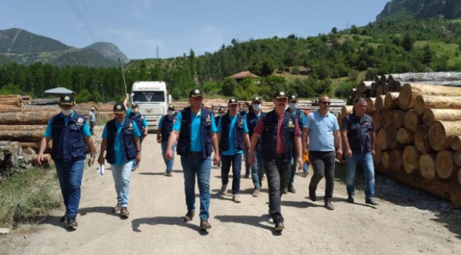 Saimbeyli'de uzun boylu ve kaliteli tomruk üretimi arttı