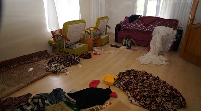 Aç kalan ayı eve saldırdı