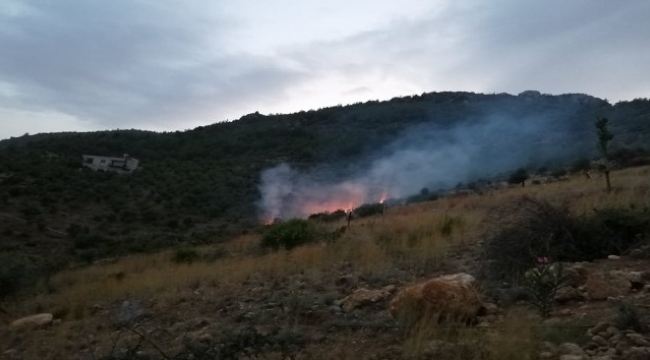 Adana'da orman yangını