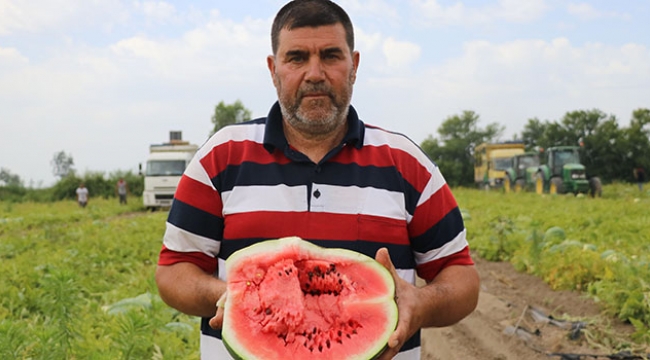 Serin hava karpuzun fiyatını düşürdü