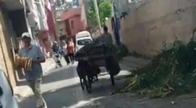 Tekin: Sokakta ekmek satışı engellenemiyor