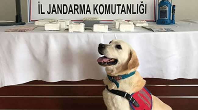 Aracın bagajından uyuşturucu çıktı