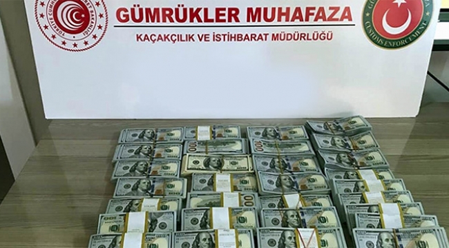 Gümrükte 300 bin ABD Doları ele geçirildi