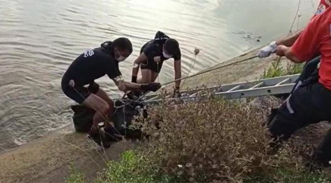Köpeği kurtarmak isterken canından oldu
