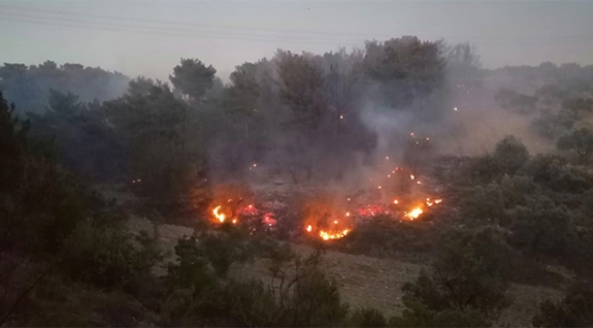 Orman yangını paniği 1 uçak, 5 helikopter