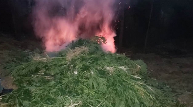 Ormanlık alanda 12 kilo 750 gram esrar ele geçirildi