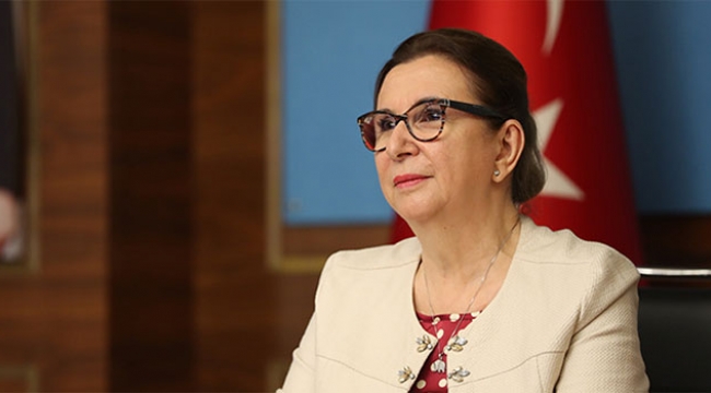 Pekcan'dan 15 Temmuz açıklaması