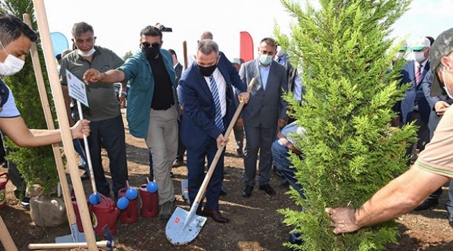 Vali Elban 15 Temmuz Demokrasi Şehitleri Hatıra Ormanı'nda